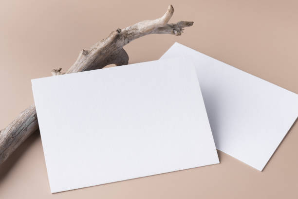 istock Minimal paper card mockup on beige background with branches 1374398631