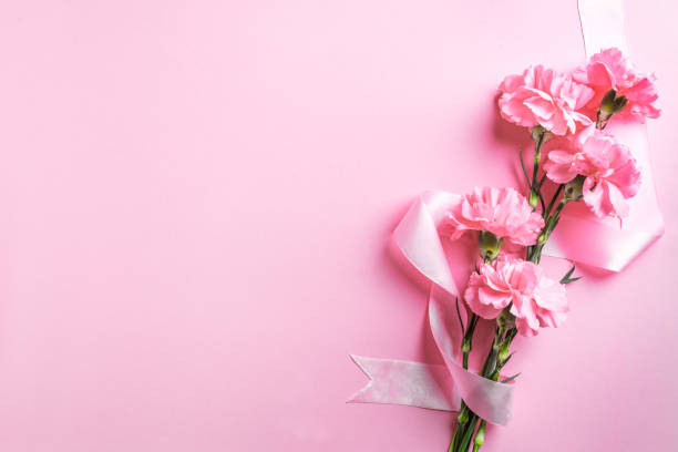 istock Pink carnation flowers and ribbon 1374409588