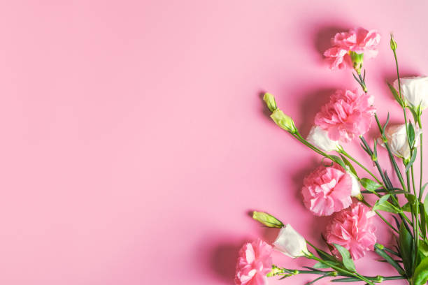 istock Pink and white flowers background 1374410099