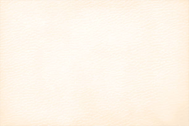 Fawn or beige or Cream coloured leather or  paper textured effect grunge horizontal vector backgrounds that is blank and empty Horizontal vector illustration in light brown or fawn color, subtle fine lined rough paper look background. There is web like texture all over giving it a crinkled look.There is no people, no text and copy space. cream background stock illustrations
