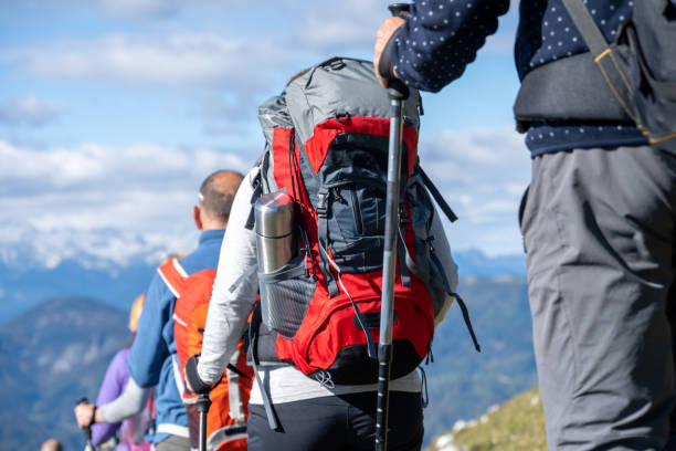 Group of hikers with hiking poles walking on mountain.