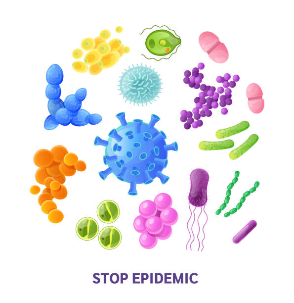 illustrazioni stock, clip art, cartoni animati e icone di tendenza di microrganismi, batteri, cellule virali, bacillo, batterio delle malattie e cellule fungine. - bacillus subtilis