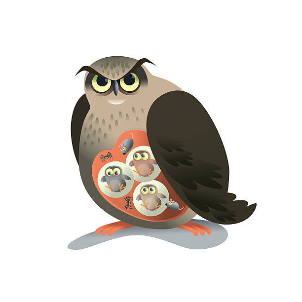 eagle owl - owl young animal bird mother stock illustrations