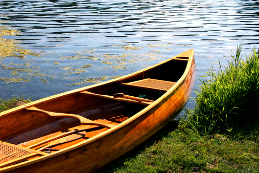 A wooden canoe rests on the shores of a Midwestern lake, surrounded by grass, reeds and water in the late autumn sunlight.
