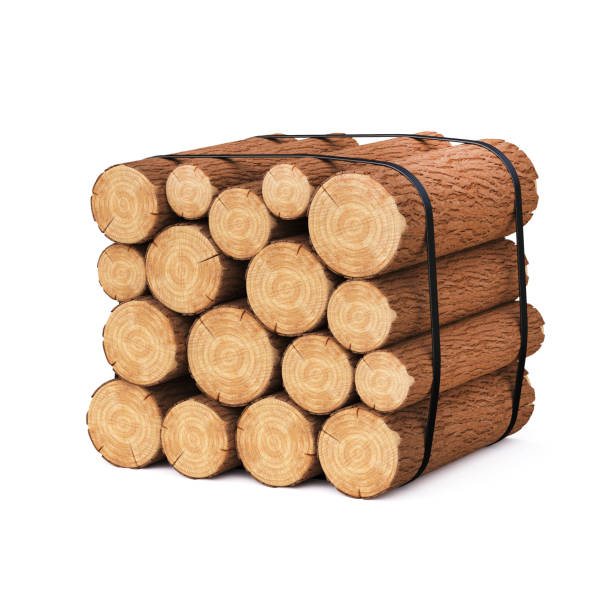 istock Stack of firewood logs isolated on white background 3d rendering 1374470273