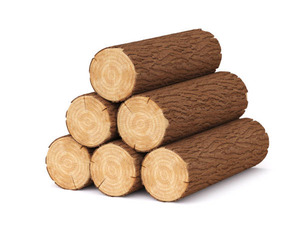 istock Stack of firewood logs isolated on white background 3d rendering 1374470285