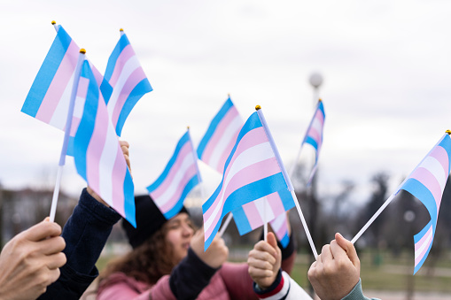 Many people holding transgender flags high in the sky