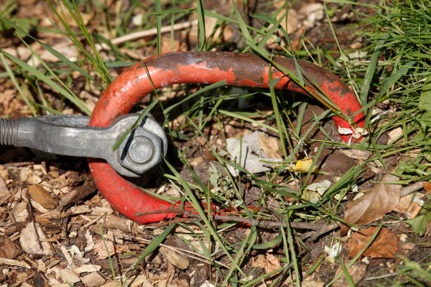 red snap hook anchored in the ground