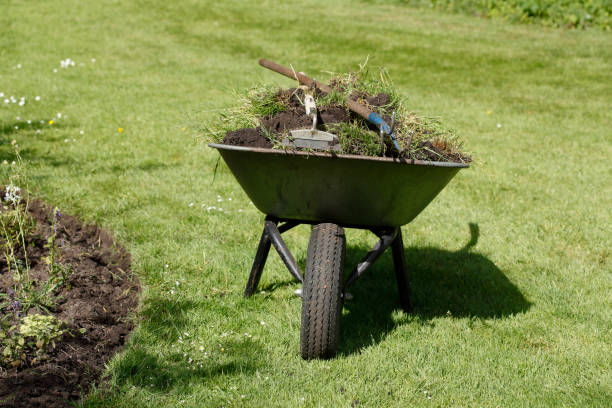 istock Wheelbarrow filled with plants on a meadow in a park, Germany 1374486917