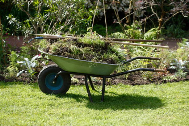 istock Wheelbarrow filled with plants on a meadow in a park, Germany 1374487432