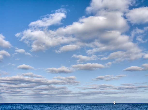 istock Sailing across the blue sky 137448984
