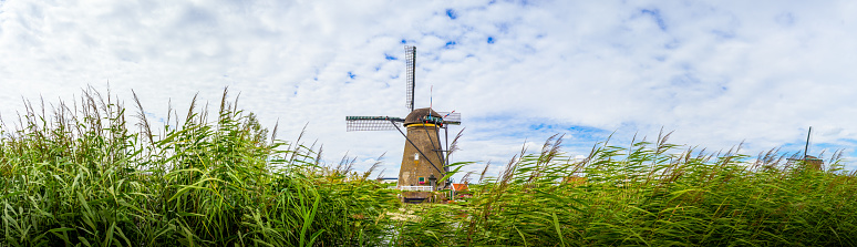 Colorful spring landscape panorama in Netherlands, Europe. Famous windmills in Kinderdijk village in Holland. Famous tourist attraction in Holland.
