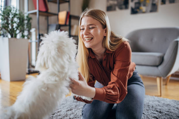 istock Woman playing with her dog 1374499157