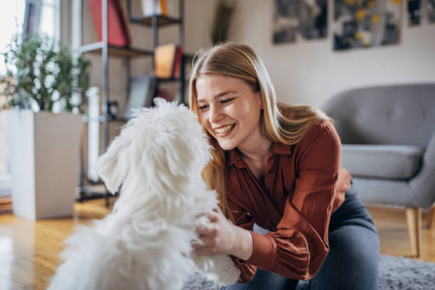 istock Woman playing with her pet 1374499671