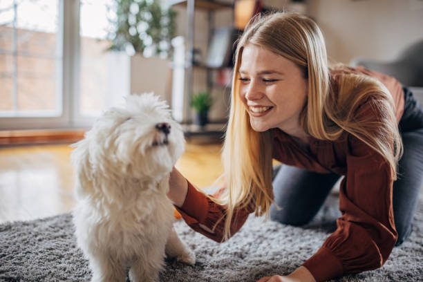 istock Woman playing with her dog 1374499679