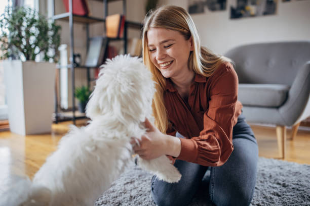 istock Woman playing with her dog 1374500189