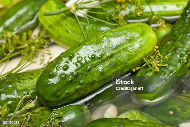 Homemade Fresh Dill Pickle Stock Photo - Download Image Now - Half Full, Pickle, Sour Taste