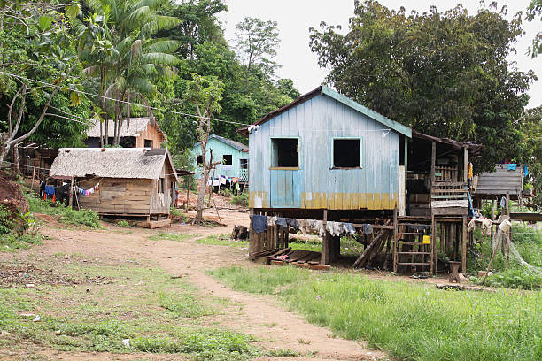 istock Typical village living on the Amazon river 137451667