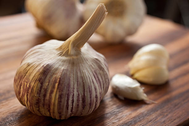 istock Large purple garlic bulb 137451819