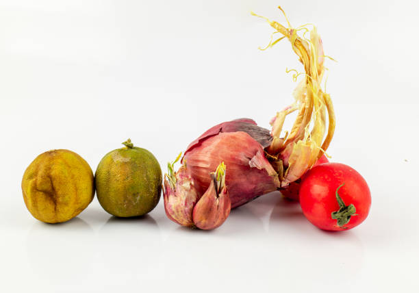 Vegetable rotten on white background, Bad vegetable, rotten vegetables. not fresh.