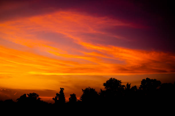 istock Evening Sky, twilight dramatic gold sunset dusk with silhouette dark black tree in night background. 1374527882
