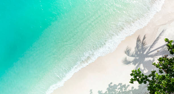 istock The tropical  summer white sand beach with a water wave background -Summer season image 1374531076