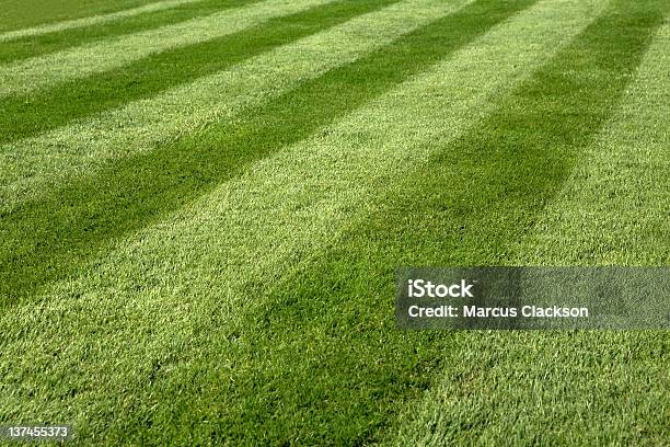 Sommerrasen Stockfoto und mehr Bilder von Gestreift - Gestreift, Gras, Fußballplatz