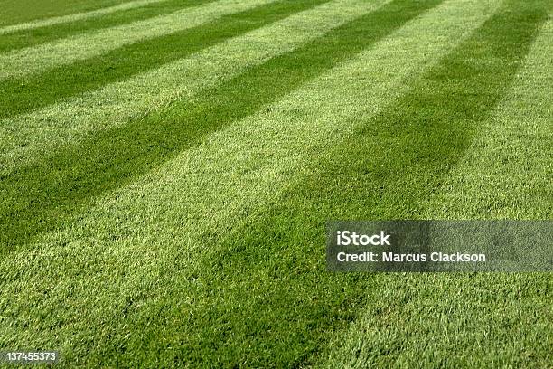 Foto de Gramado De Verão e mais fotos de stock de Listrado - Listrado, Grama, Campo de Futebol