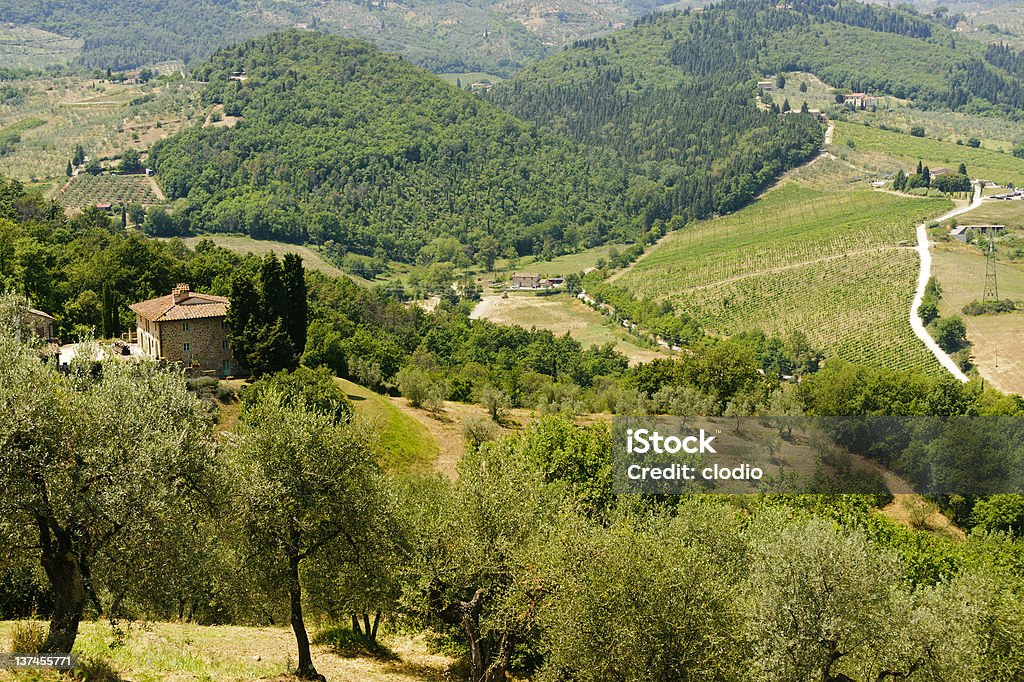 Hills in der Toskana nahe Artimino - Lizenzfrei Agrarbetrieb Stock-Foto