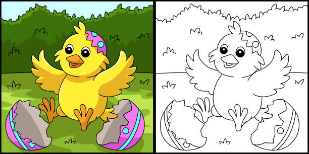 ilustrações, clipart, desenhos animados e ícones de chick pop out in easter egg coloring illustration - eggs new life shape animals and pets