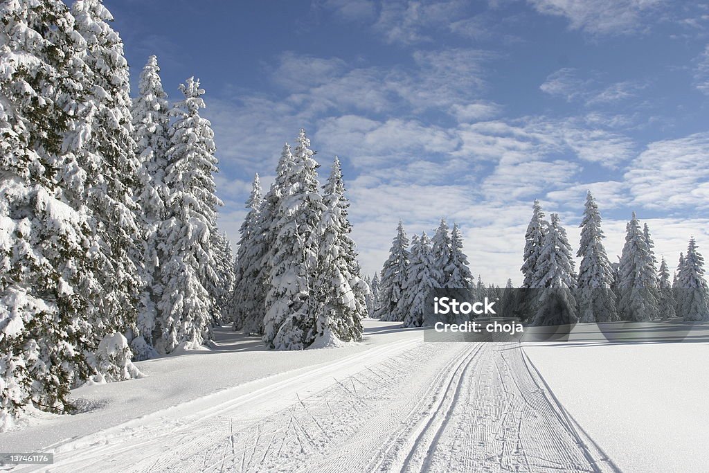 Corredor de esqui de inverno em um belo day.Rogla, Eslovênia - Foto de stock de Atividade royalty-free