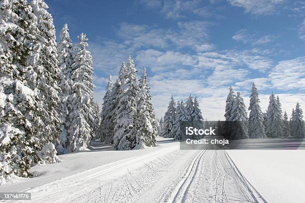 Foto de Corredor De Esqui De Inverno Em Um Belo Dayrogla Eslovênia e mais fotos de stock de Atividade