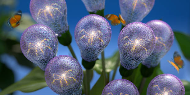 borboletas perto de lâmpadas crescendo a partir da planta - beauty in nature flower flower head blossom - fotografias e filmes do acervo