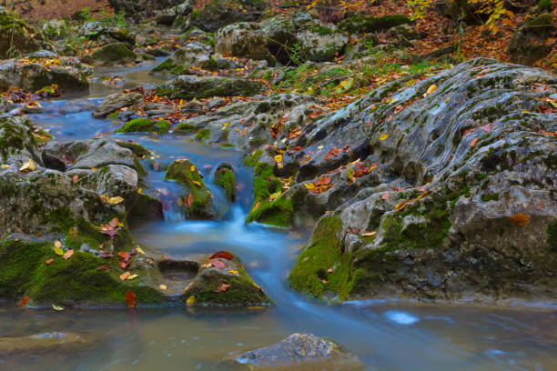 autumn valley