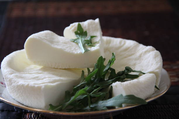 White cheese with rukkola stock photo
