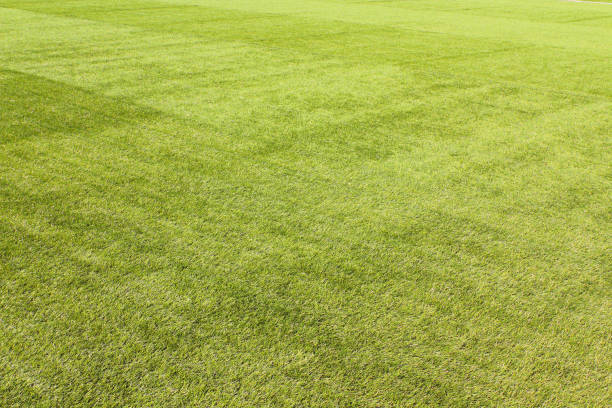 istock Artificial football field. Clean green lawn. Background. Texture. 1374647334