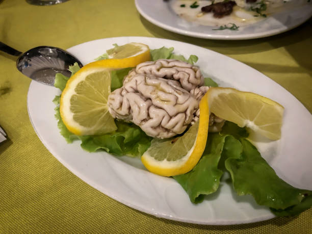 Kebab Restaurant with traditional Eastern receipts. Mediterranean food culture. Gourmet foodie trip to Anatolia, Turkey as travel destination. Perfectly served local plates. Variety of delicious bites. Food background with large copy space.