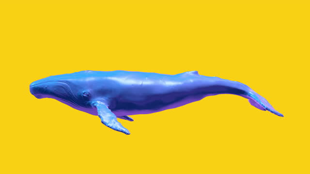 Swimming blue whale. Abstract pop art concept. Realistic 3d character animal in creative modern motion style. Minimal graphic colorful psychedelic design. Fashion bright animation.