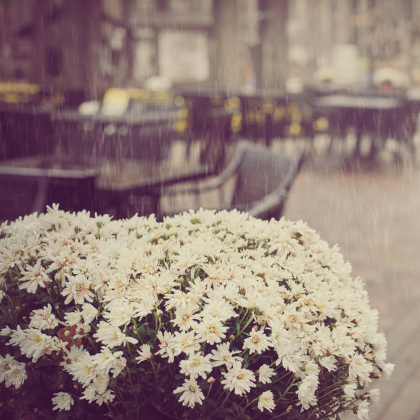 Rainy day in cafe Design of empty wet street cafe on rainy day rainy cafe stock pictures, royalty-free photos & images