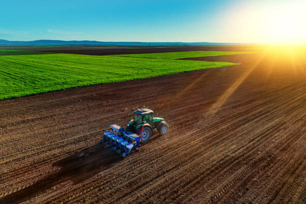 Farmer with tractor seeding crops at field Farmer in tractor preparing farmland with seedbed for the next year overcasting stock pictures, royalty-free photos & images