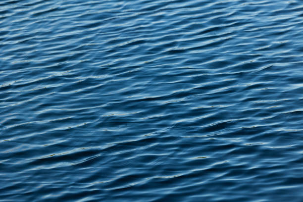 istock pattern of ripples and waves forming on real blue sea water 1374658221