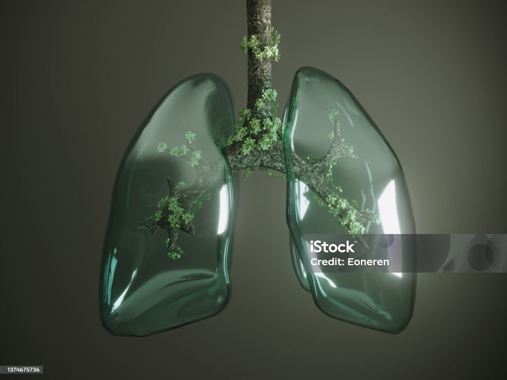 Glass lung Digital generated human lung textured with glass and tree branches, leaves in it. ( 3d render ) Lung Stock Photo