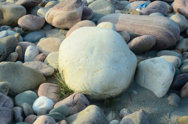 Pebble background stone nature rock abstract pattern design material gravel beach sea surface grey close up wallpaper background decoration fashion beach sea art rough summer detail spa granite
