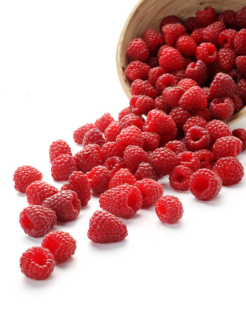 Himbeeren – Foto