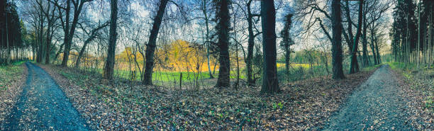 istock A path next to a forest and a river in winter. 1374693448