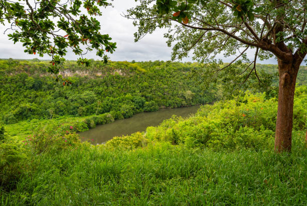 istock Chevon River Dominican Republic 1374705667