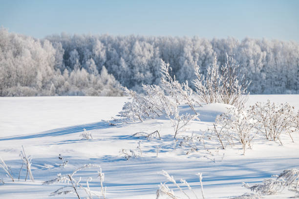 istock not frozen pond in winter 1374706741