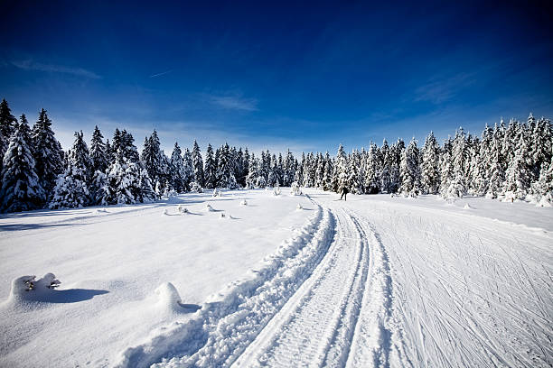 Spectacular panorama is opened on mountains, trees covered with white snow, lawn and blue sky with clouds.