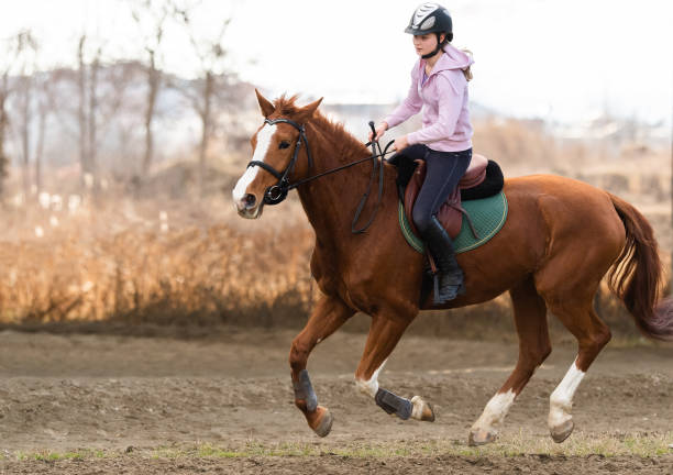 istock Young girl riding a horse 1374717497
