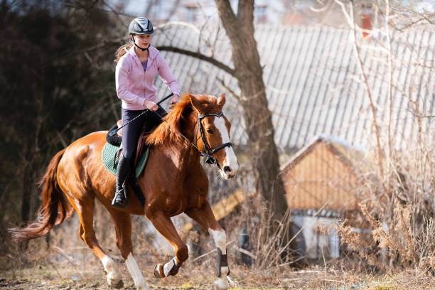 istock Young girl riding a horse 1374717499